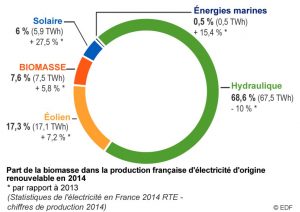 Part biomasse dans la production de electricite en france 2014