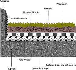 Schema d’une toiture extensive