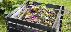 compost a partir des déchets ménagers