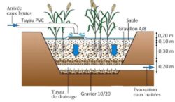 Phyto-epuration & substrats de purification