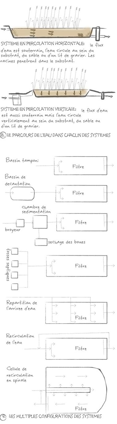 Les filtres plantés, aussi performants en hiver - La phytoépuration en  détail