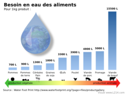 besoin en eau des aliments pour 1kg de produit