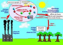 impact de la pollution atmospherique dans la nature