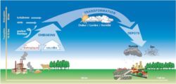 transport des agents polluants dans l'atmosphere