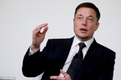 Elon Musk - PDG Tesla