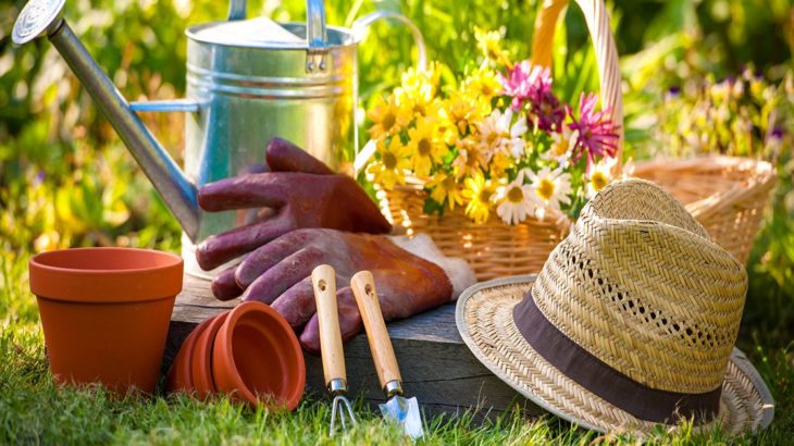 Conso collaborative et si vous pretiez votre jardin