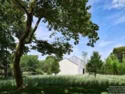 Jardin & arbres entourant le site - House-lane par Maziar-Behrooz-Architecture - Nouveau-Mexique - USA