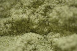 Micrialgues - Algue-dome par SPACE - Copenhague, Danemark
