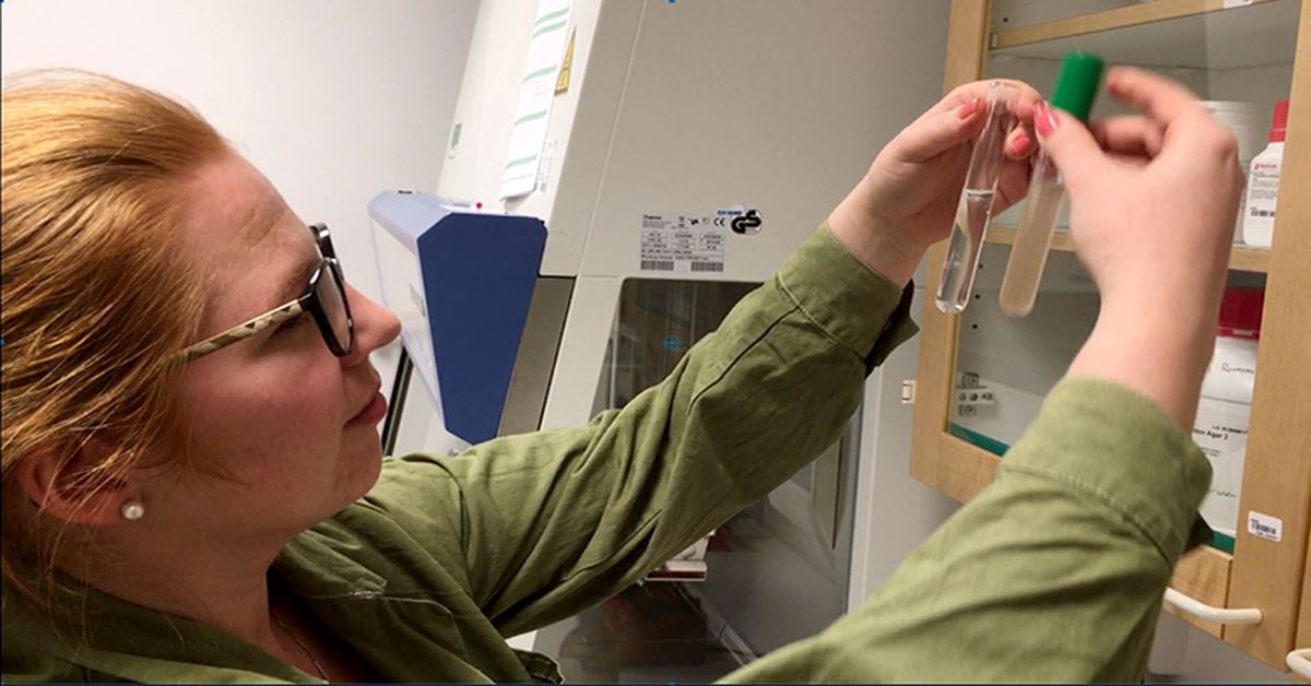 traitement de l'eau a l'aide de fibre de bois