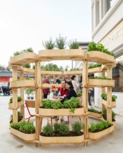 Légumes et fleurs sur le jardin modulaire - growmore par Husum-Lindholm - Seoul, Coree du Sud