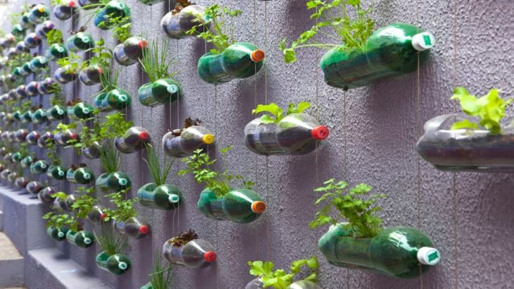 Recycler des bouteilles plastiques en mur vegetal