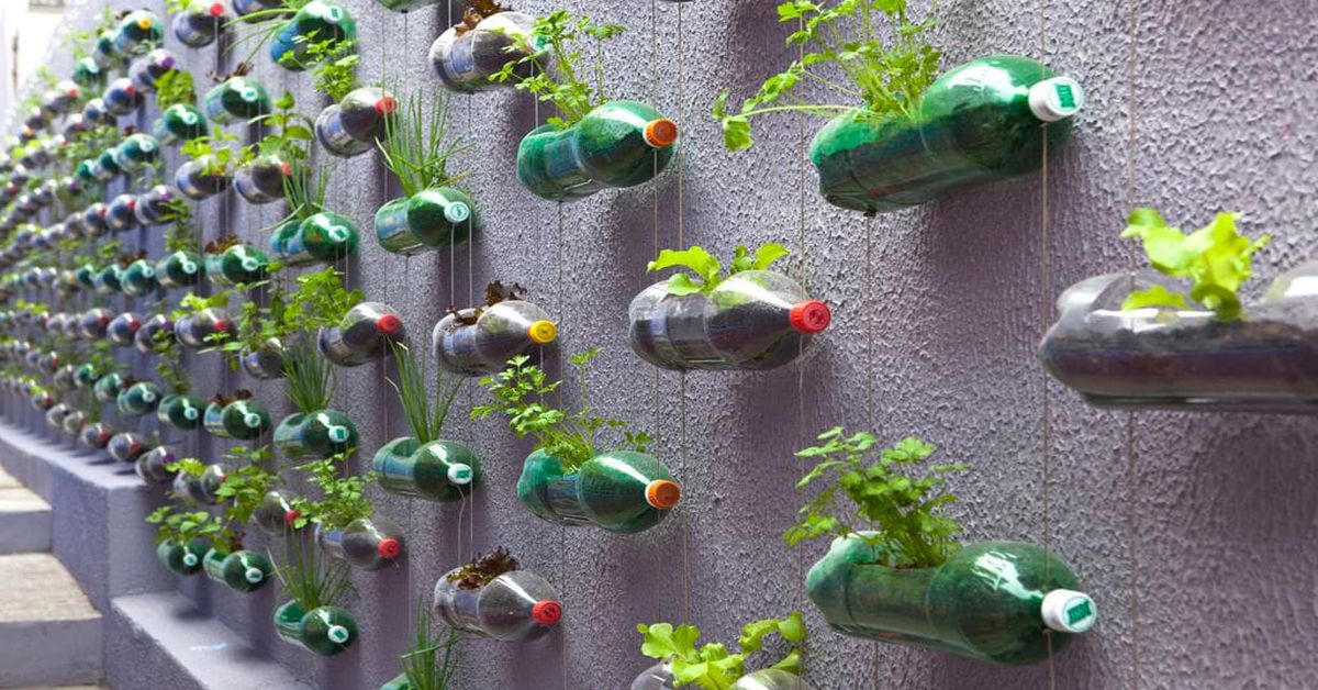 Créez une mini serre de jardin en recyclant une bouteille en plastique avec  le système Pikaserre ! 