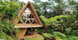 Vue terrasse et façade vitrée - Hideout par Jarmil Lhotak - Alena Fibichova - Bali, Indonesie © Fibichova