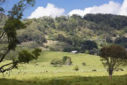 Vue panoramique site - Skyfarm par Michael-Leung - Australie © Living Big in a Tiny House.com