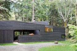 Cour intérieure - Courtyard-House par Robert Hutchison Architecture - Seattle, USA © Mark Woods