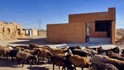 Façade principale - Through Gardens House par BAM Architects - Parvaneh, Iran