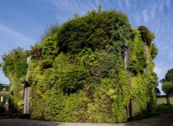 Murs végétalisés - Magnificent-House-Brussels par Samyn And Partners