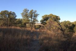 Paysage herbes et arbustes - Casa-Caldera par DUST - Texas, USA © Cade Hayes