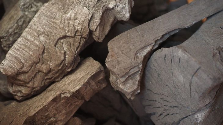 carbone-biogenique-et-materiaux-biosources