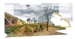 Culture communautaire - The-Zero-Emission-Neighborhood par Architecture-Humans - Prestina, Kosovo