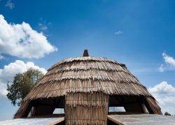 Toiture couche papyrus - Gahinga Batwa Village par Studio FH Architects - Gahinga, Rwanda © Will Boase Photography