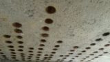 Coque noix de coco plafond intérieur - Debris-House par Wallmakers - Pathanamthitta, Inde © Anand Jaju