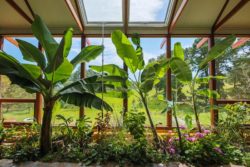 Mini jardin - earthship-home par Martin-Zoe - Adelaide, Australie