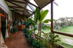 Mini jardin terrasse et grande baie vitrée - earthship-home par Martin-Zoe - Adelaide, Australie