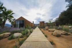 Jardin et façade vitrée - House 8 par TAC Taller - Mexique, Vallee de Guadalupe © Humberto Romero