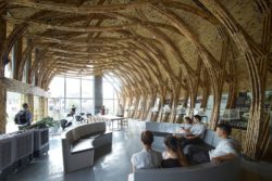 Salle permanence college - Première Biennale internationale d'architecture en bambou - Zhejiang, Chine © Juien Lanoo
