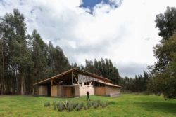 Façade jardin et plantes indigènes - Casa Lasso par RAMA Estudio - San Jose, Equateur © Jag Studio