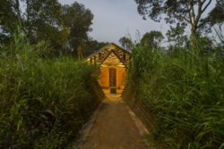 Entrée nuit - Chirath par Wallmakers - Kerala, Inde © Anand Jaju