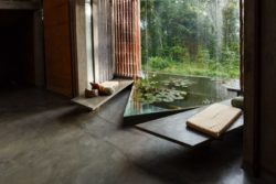 Petite piscine jardin - Chirath par Wallmakers - Kerala, Inde © Anand Jaju