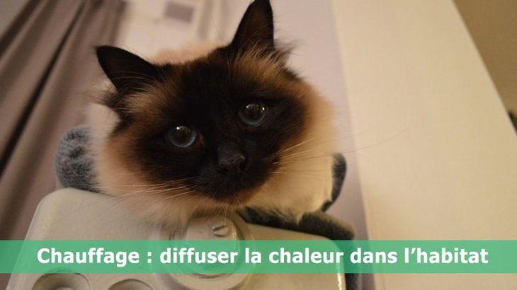 une-chauffage-diffuser-chaleur-habitat