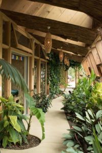 Jardin serre intérieure - Earthship Te Timatanga par Gus-Sarah - Waikato, Nouvelle-Zelande