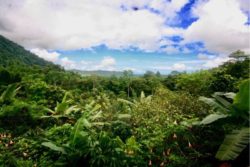 13- House Without Shoes - Costa Rica © Makenzie Gardner