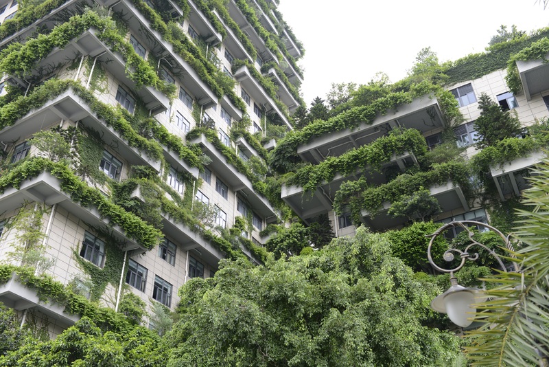 https://www.build-green.fr/wp-content/uploads/2019/10/vegetalisation-facade-urbain-02.jpg