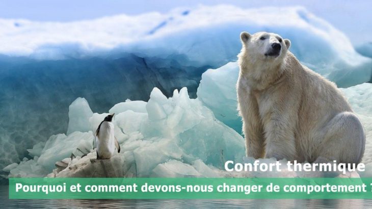 une-confort-thermique-polar-bear-