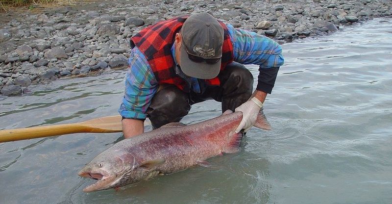 alaska-peche-03