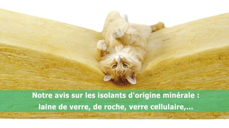 une-isover-laine-de-verre-chat