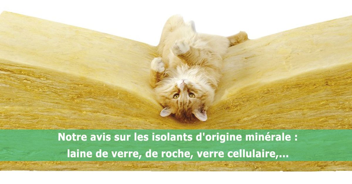 une-isover-laine-de-verre-chat