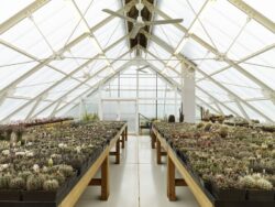 13- Family-Greenhouse par RicharDavidArchitekti - Horice, Republique Tcheque