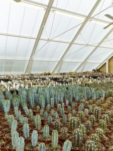 14- Family-Greenhouse par RicharDavidArchitekti - Horice, Republique Tcheque