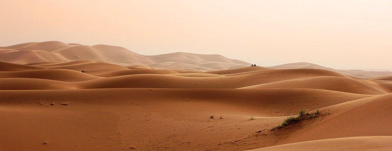 Sable Desert - Photo Greg Montani - Pixabay