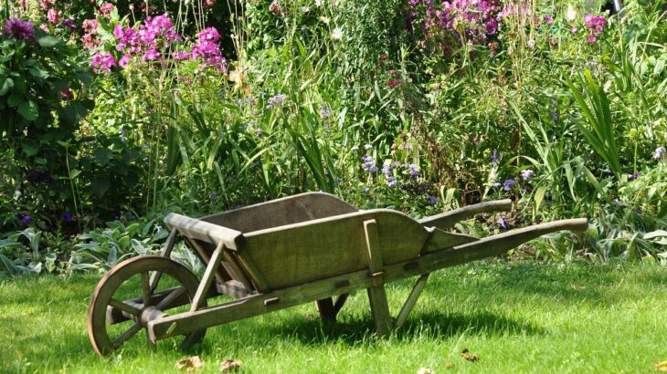 Une-Se-lancer-dans-un-potager-bio