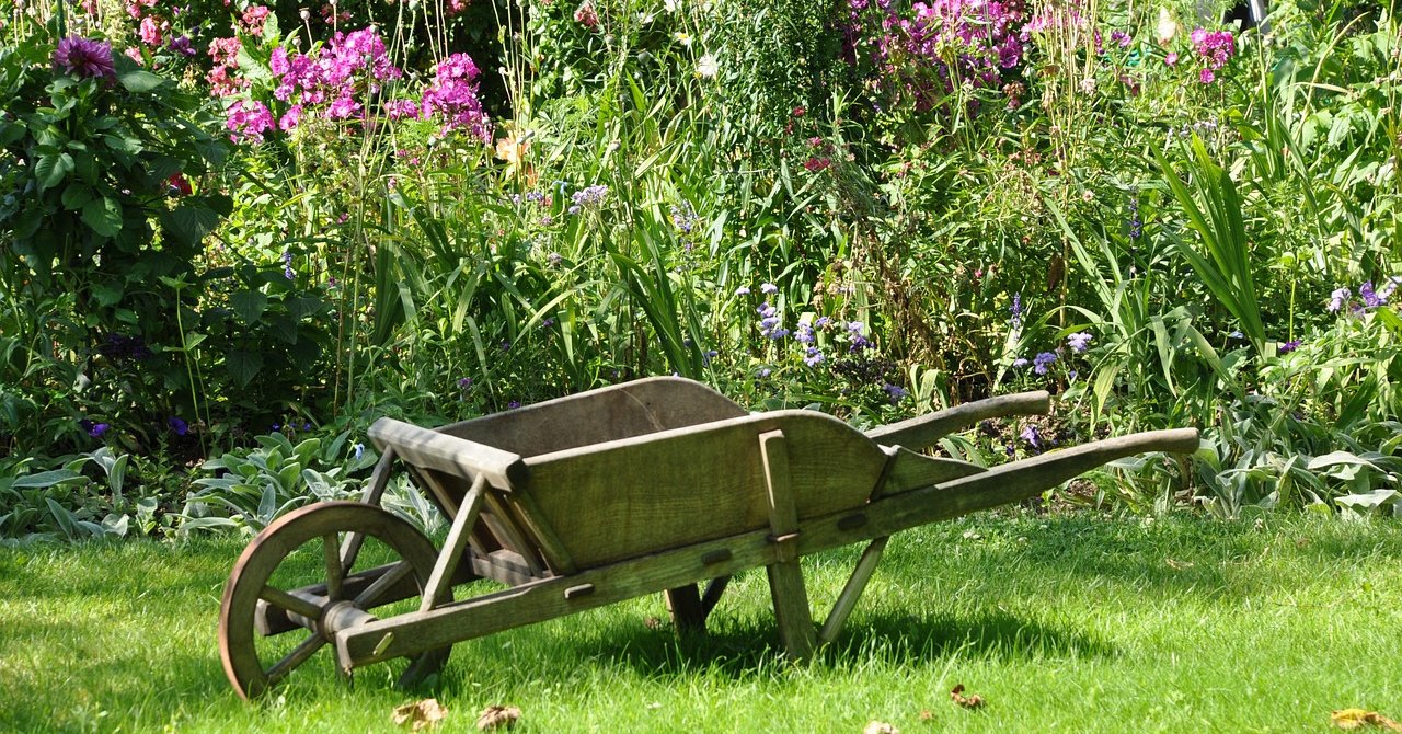 Une-Se-lancer-dans-un-potager-bio