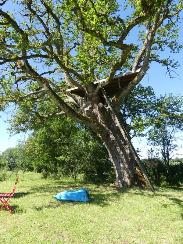 Cabane Auprès de mon Arbre - West Wood Tiny - photo Pascal Faucompré - Build Green