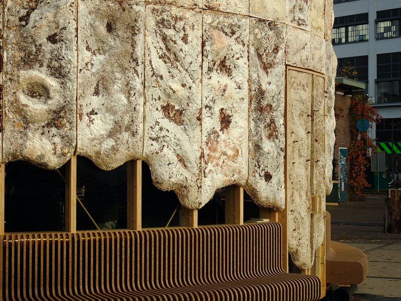 4-Growing-Pavilion-Eindhoven-Netherlands-credits-photos-Biobased-Creations