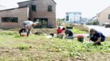 Habitat participatif - Ecolodo - Verrières en Anjou- FR 49 - crédit photo - Jean-Michel - Ecolodo