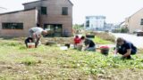 Habitat participatif - Ecolodo - Verrières en Anjou- FR 49 - crédit photo - Jean-Michel - Ecolodo